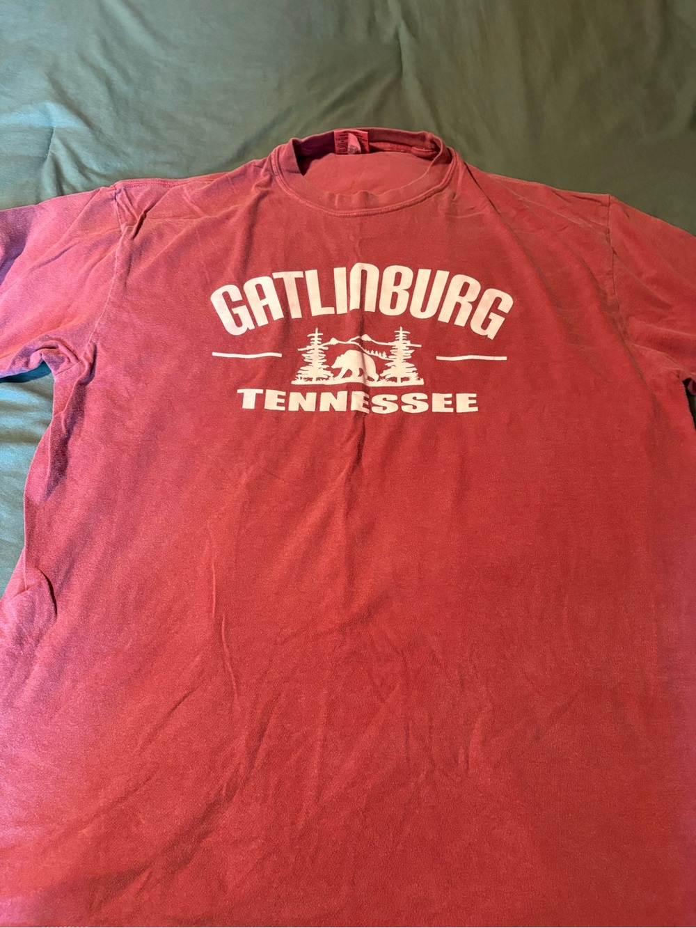 Comfort Colors Gatlinburg Tennessee Red Graphic Tee